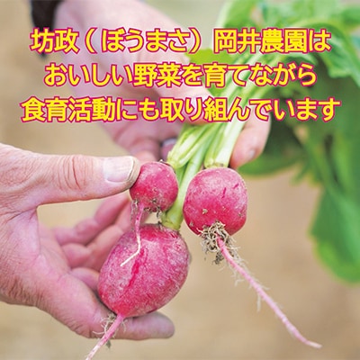 訳あり　季節の野菜セット4～6品詰め合わせ