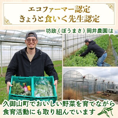 【訳あり】季節の野菜セット4～6品　京都府久御山町産