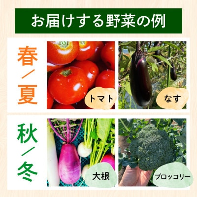 【毎月定期便】【訳あり】季節の野菜セット4～6品　京都府久御山町産全6回