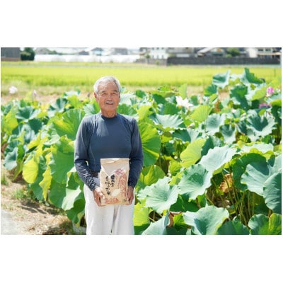令和7年産 ひとめぼれ 5kg 京都府久御山町 大人気のお米(精米)をお届け