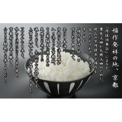 令和7年産 ひとめぼれ 5kg 京都府久御山町 大人気のお米(精米)をお届け