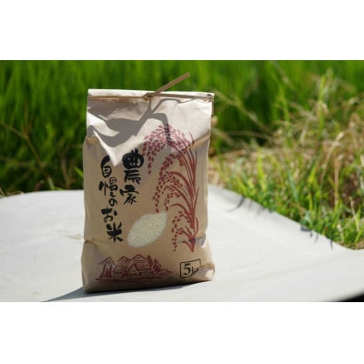 令和7年産 ひとめぼれ 5kg 京都府久御山町 大人気のお米(精米)をお届け