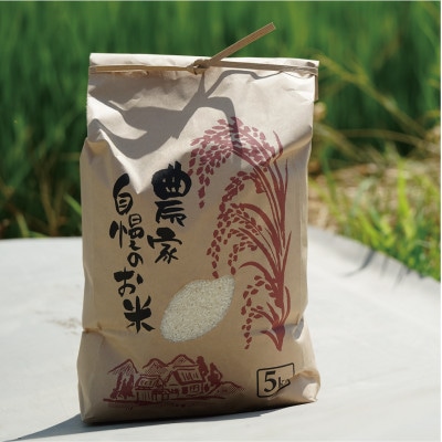 令和7年産ひとめぼれ計10kg　京都府久御山町 大人気のお米(精米)をお届け
