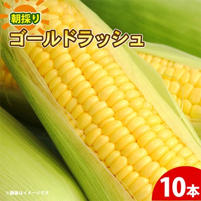 京都府久御山町 とうもろこし 10本