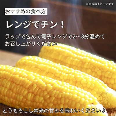 京都府久御山町 とうもろこし 10本