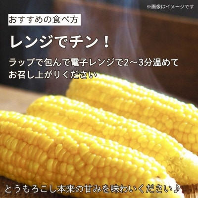 京都府久御山町 とうもろこし 5本 朝採り ゴールドラッシュ