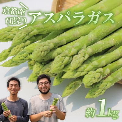 【先行受付】2026年産 数量限定 アスパラガス 1kg L～2Lサイズ 京都府久御山町産 朝採り