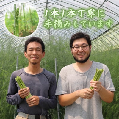 【先行受付】2026年産 数量限定 アスパラガス 1kg L～2Lサイズ 京都府久御山町産 朝採り
