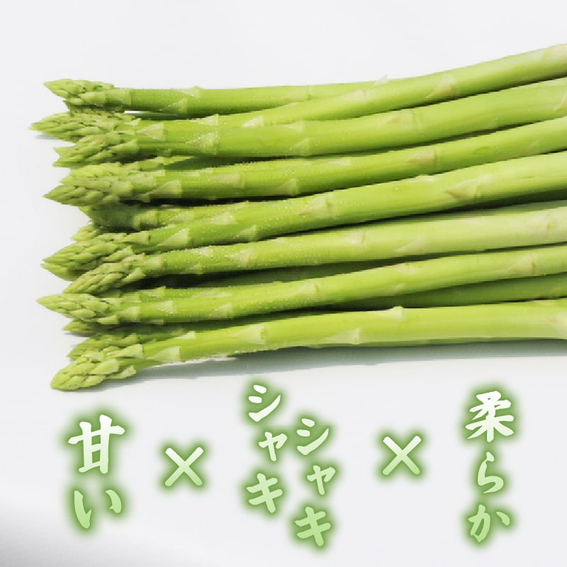 【先行受付】2026年産 数量限定 アスパラガス 1kg L～2Lサイズ 京都府久御山町産 朝採り