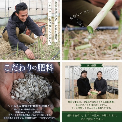 【訳あり】アスパラガス1kg 2026年産 朝採りアスパラ　S～2Lサイズを農家直送でお届け