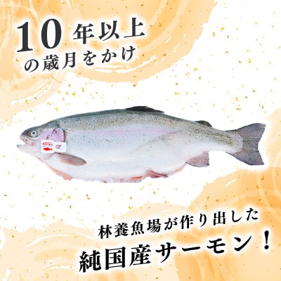 阿武隈川メイプルサーモンお刺身用柵セット 2柵セット(350g)　