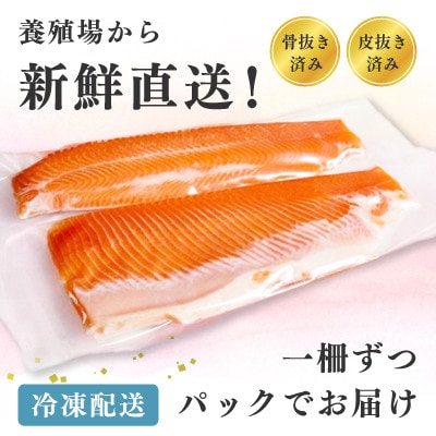阿武隈川メイプルサーモンお刺身用柵セット 2柵セット(350g)　