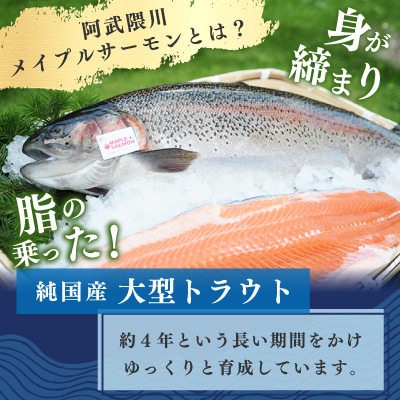 阿武隈川メイプルサーモンお刺身用柵セット 4柵セット(700g)　