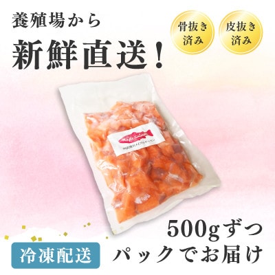 阿武隈川メイプルサーモン 切り落とし500g 2袋/計1kg