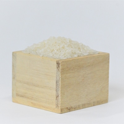 にしごう源流米こしひかり10kg