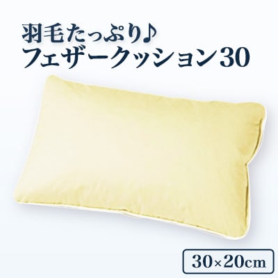 羽毛たっぷりで快適リラックスタイム!フェザークッション30(30×20cm)