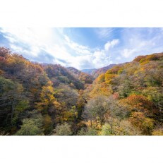 【福島県西郷村】ふるさと納税旅行クーポン(3,000円分)