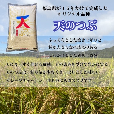 新米先行予約【令和7年産】天のつぶ精米10kg 一等米!　5kg×2袋