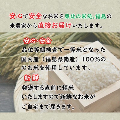 新米先行予約【令和8年産】コシヒカリ精米10kg(5kg×2袋)一等米!　米　西郷村　農家直送