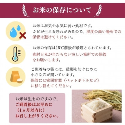 新米先行予約【令和8年産】コシヒカリ精米10kg(5kg×2袋)一等米!　米　西郷村　農家直送