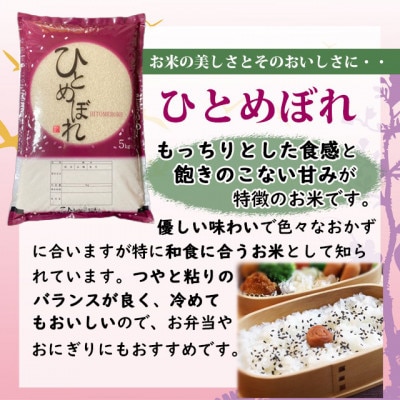 【令和6年産】ひとめぼれ　精米5kg　一等米!