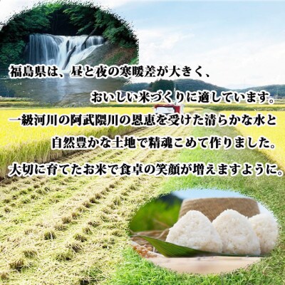 食べ比べセット!精米10kg【令和4年産】天のつぶ&コシヒカリ 1等米5kg×2袋