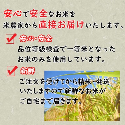 食べ比べセット!精米10kg【令和4年産】天のつぶ&コシヒカリ 1等米5kg×2袋