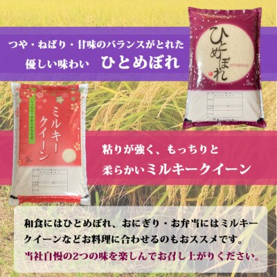 食べ比べセット!精米10kg【令和6年産】ひとめぼれ&ミルキークイーン　1等米5kg×2袋