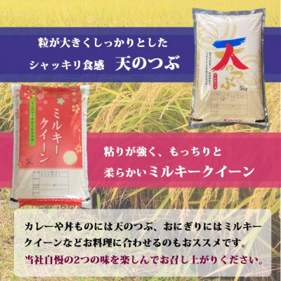 食べ比べセット!精米10kg【令和6年産】天のつぶ&ミルキークイーン1等米5kg×2袋