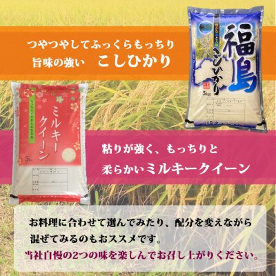 食べ比べセット!精米10kg【令和6年産】コシヒカリ&ミルキークイーン1等米5kg×2袋