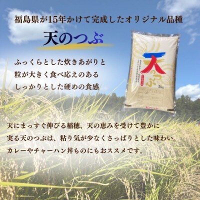 新米先行予約【令和8年産】天のつぶ精米20kg(5kg×4袋)一等米!　米　西郷村　農家直送