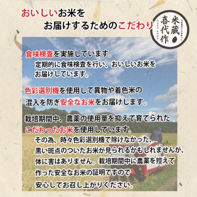 新米先行予約【令和8年産】天のつぶ精米20kg(5kg×4袋)一等米!　米　西郷村　農家直送