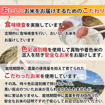 【発送月固定定期便】R5年産ミルキークイーン5kg×6ヵ月 計30kg 全6回