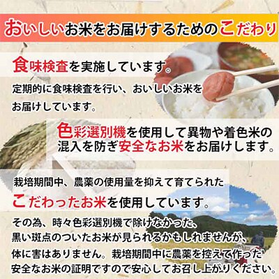 【発送月固定定期便】R5年産天のつぶ5kg×6ヵ月 計30kg 全6回