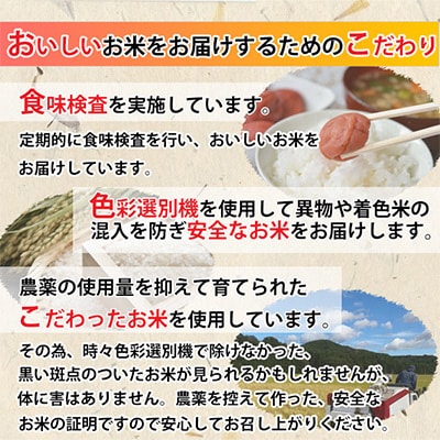 【毎月定期便】【米定期便】ミルキークイーン5Kg×4ヵ月計20kg全4回