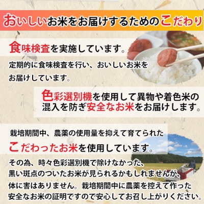 【毎月定期便】【米定期便】ミルキークイーン5kg(計20kg)全4回
