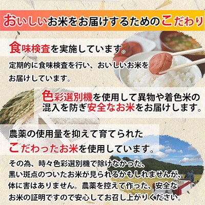 2023年5月発送開始『定期便』【米定期便】天のつぶ5kg×4ヵ月 計20kg 全4回