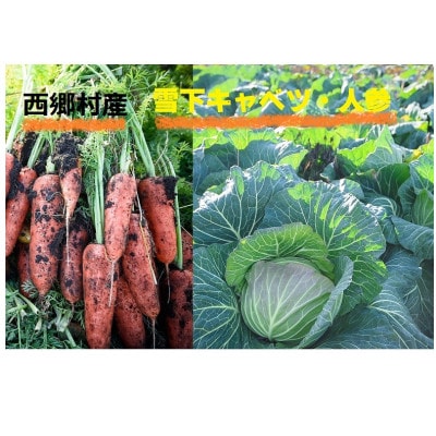 西郷村産　雪下キャベツと人参のセット