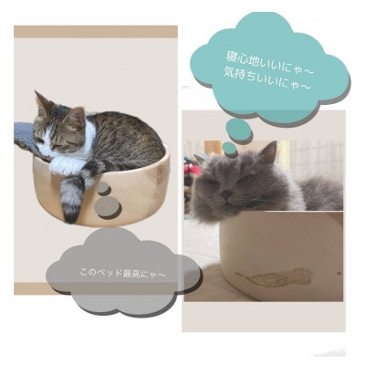 猫ちゃんのまん丸ベッド
