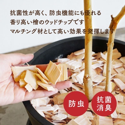 長野県木曽産　木曽ひのき　ウッドチップ　20L