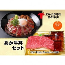 あか牛丼セット(長洲町)