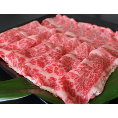 厳選されたGI認証　くまもとあか牛　特選すき焼き用　500g(長洲町)