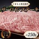 【A4～A5】くまもと黒毛和牛サーロインステーキ　250g(250g×1枚)(長洲町)