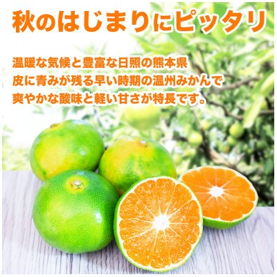 極早生みかん 2S～2L 約10kg (長洲町)
