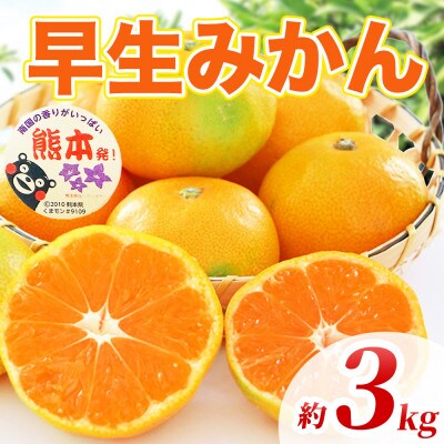 早生みかん 2S～2L 約3kg(長洲町)