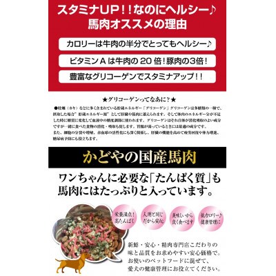 ペット用 国産馬肉パラパラミンチ 粗挽き1kg(500g×2パック)