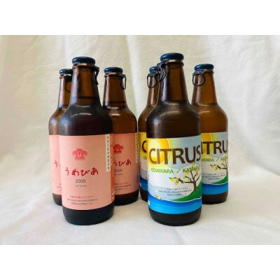 クラフトビール飲み比べセット[足柄ハッピーモルトうめびあ&CITRUS]　330ml×6本