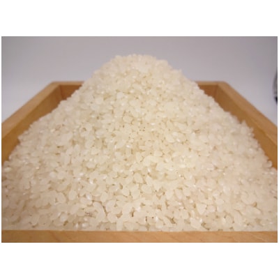【訳あり・農家直送】松田町のお米(こしひかり)1kg×5袋