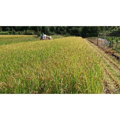 【訳あり・農家直送】松田町のお米(こしひかり)1kg×5袋