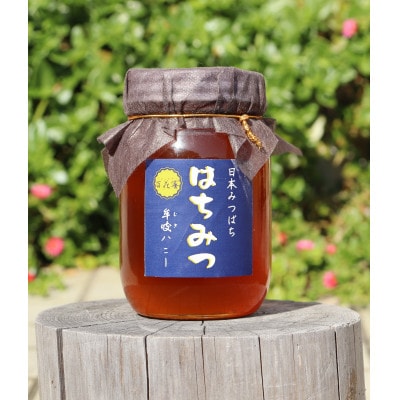 牟岐ハニー　日本ミツバチの百花蜜　600g